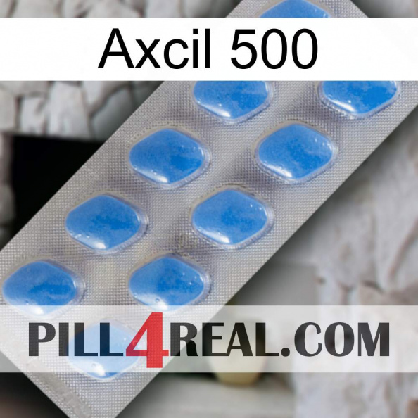 Axcil 500 22.jpg